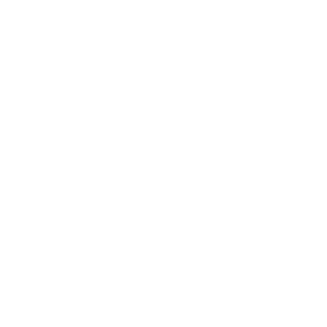 Vellore Studio